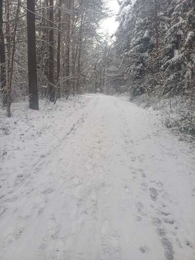 TierschutzhundeStammtisch🐕-Beitrag-Bild