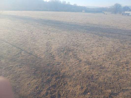 TierschutzhundeStammtisch🐕-Beitrag-Bild