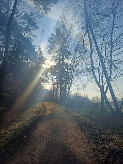 TierschutzhundeStammtisch🐕-Beitrag-Bild