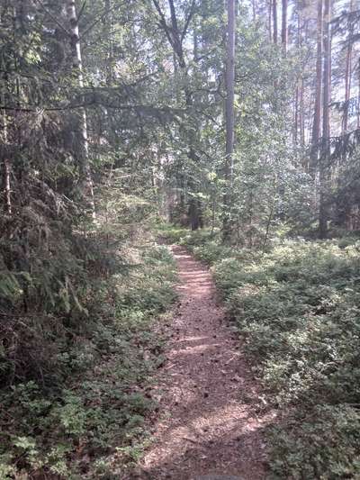 TierschutzhundeStammtisch🐕-Beitrag-Bild