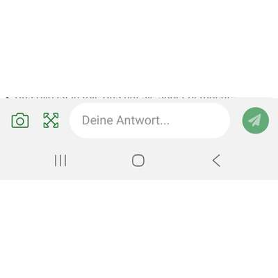 TierschutzhundeStammtisch🐕-Beitrag-Bild
