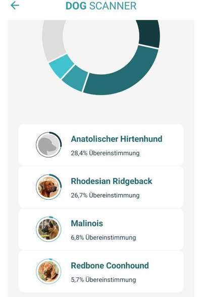 TierschutzhundeStammtisch🐕-Beitrag-Bild