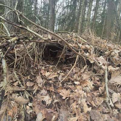 TierschutzhundeStammtisch🐕-Beitrag-Bild