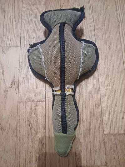 TierschutzhundeStammtisch🐕-Beitrag-Bild