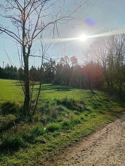 TierschutzhundeStammtisch🐕-Beitrag-Bild