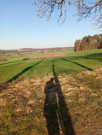 TierschutzhundeStammtisch🐕-Beitrag-Bild