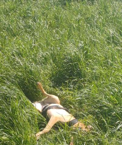 TierschutzhundeStammtisch🐕-Beitrag-Bild