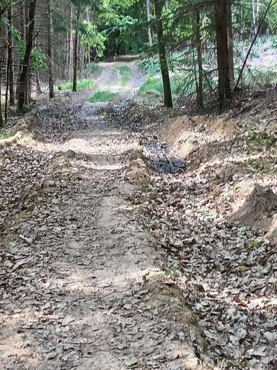 TierschutzhundeStammtisch🐕-Beitrag-Bild