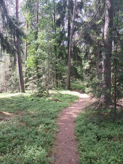 TierschutzhundeStammtisch🐕-Beitrag-Bild