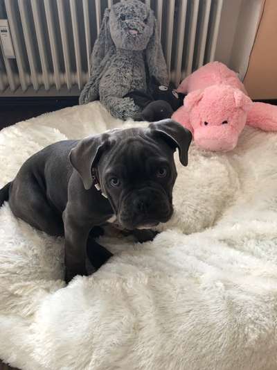 Erfahrung mit Wolkenbett-Beitrag-Bild