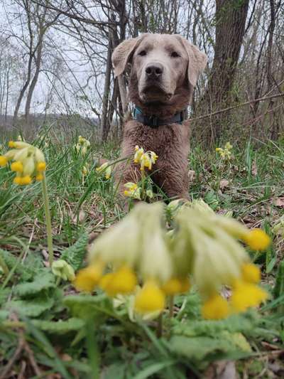 Fotochallenge 78

Es grünt und blüht-Beitrag-Bild