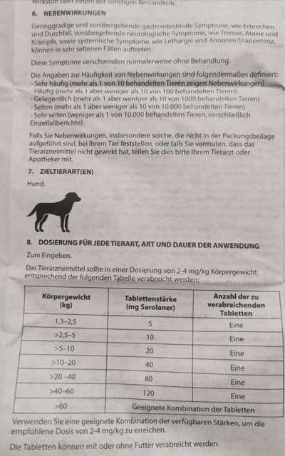 Bravecto-Beitrag-Bild