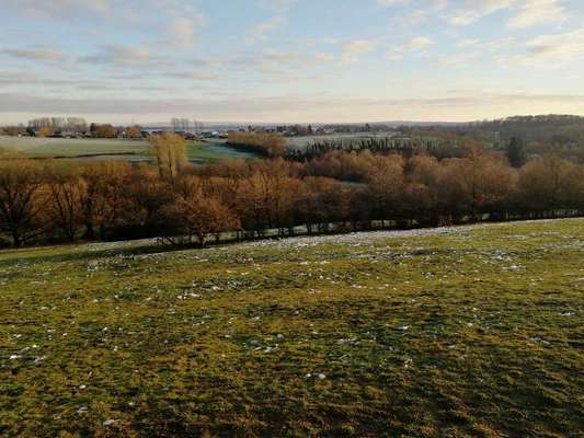 Hundeauslaufgebiet-Schroufer Dam-Bild