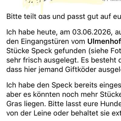 Giftköder-Mutmaßlicher Giftköder am Ulmenhof-Bild