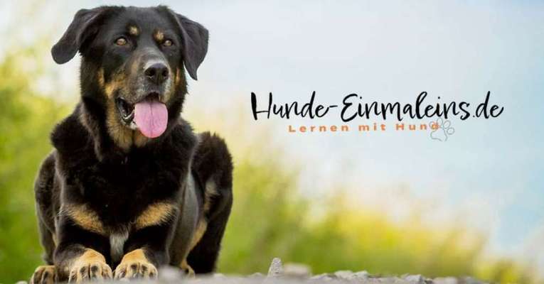 %{de_profession_title}-Einzeltraining 60 Minuten-Bild