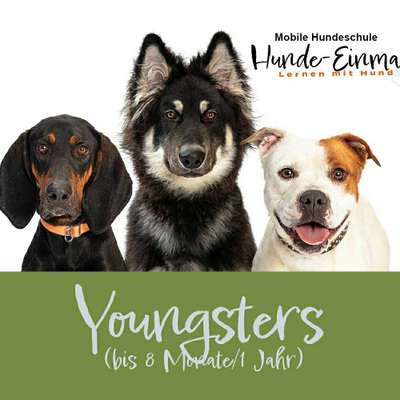 %{de_profession_title}-Youngster ab 16./18. Wochen-Bild