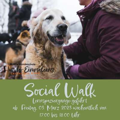 %{de_profession_title}-Social Walk -Lerspaziergänge-Bild