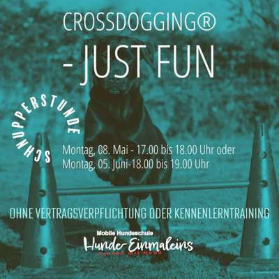 Giftköder-Crossdogging-Just Fun-Bild