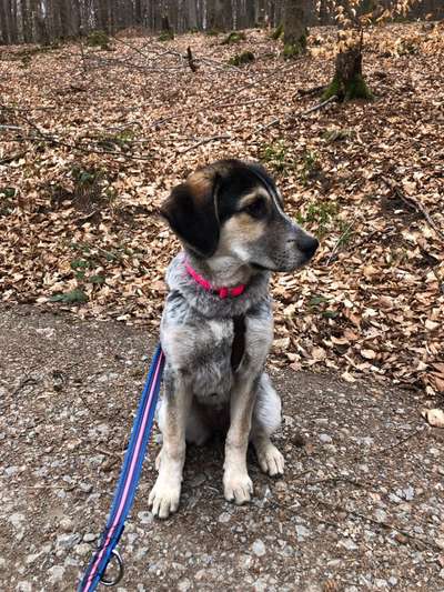 Lieblingsbild :D-Beitrag-Bild