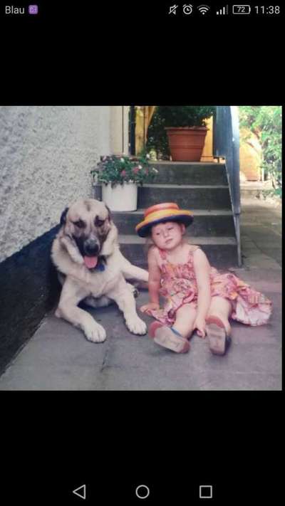 Kangal Fans ! ! ! !-Beitrag-Bild