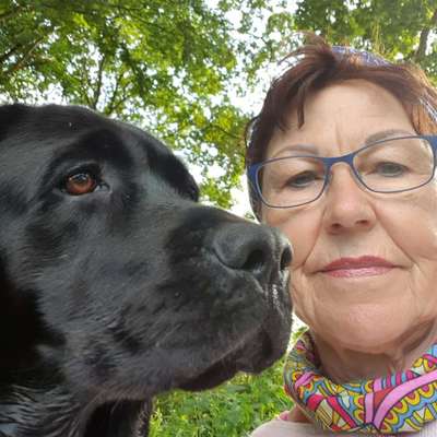 Hundetreffen-Touren durch Feld, Wald und Wiese-Bild