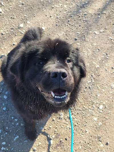 Farben Fotochallenge Sonnenlicht-Beitrag-Bild