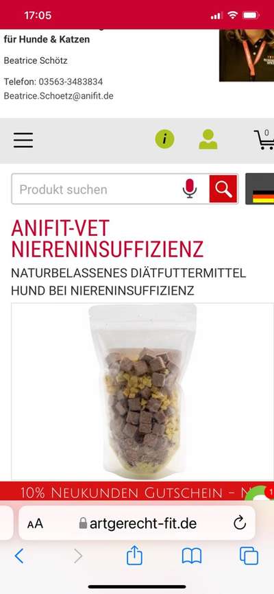 Hund mit Nierenproblem-Beitrag-Bild