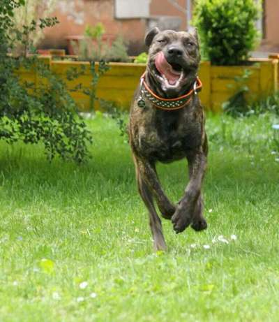 Fotochallange Nr. 6 Die irrsten Blicke-Beitrag-Bild