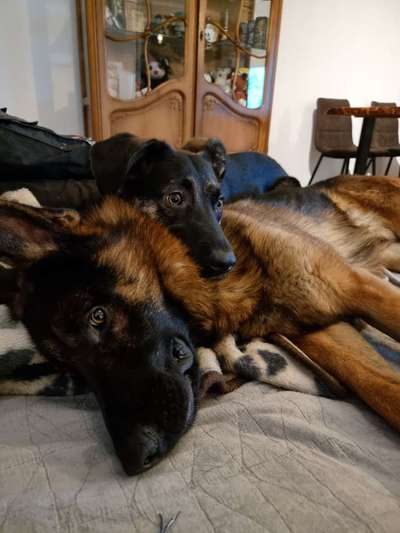 Fotochallenge Nr. 62 Romantische Momente-Beitrag-Bild