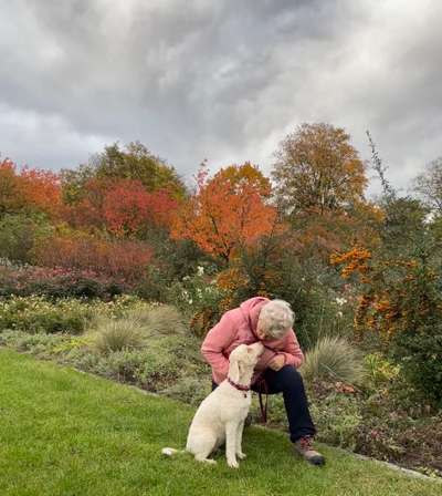 Lagotto Romagnolo Besitzer-Beitrag-Bild