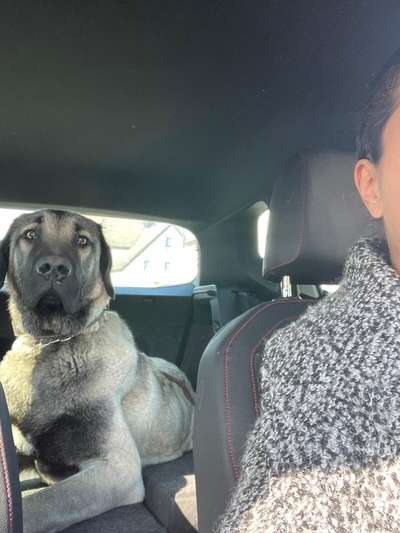 Lustige Bilder-Beitrag-Bild