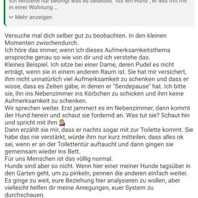 Hund ist eifersüchtig auf Menschen?-Beitrag-Bild