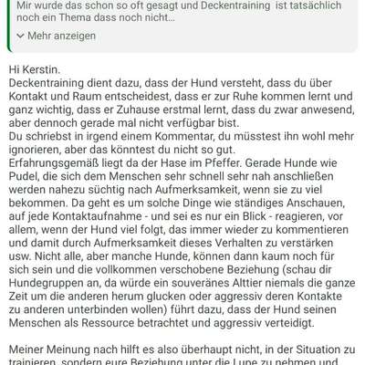 Hund ist eifersüchtig auf Menschen?-Beitrag-Bild