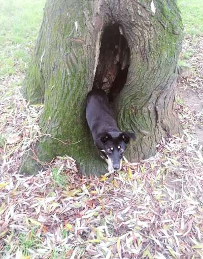 27. Handy Fotochallenge-Beitrag-Bild