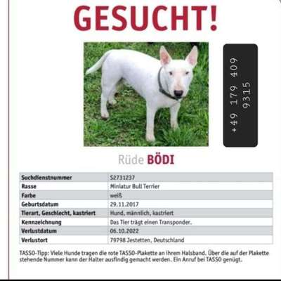 Suchmeldung-BÖDI-Bild