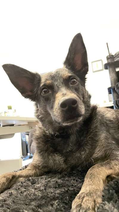 Fotochallange Nr. 57     PORTRÄT.   Beendet!!!!!!!!-Beitrag-Bild