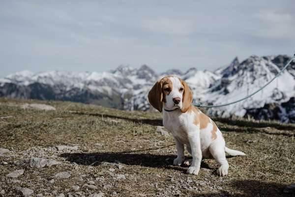 Fotochallenge Nr 107-Beitrag-Bild