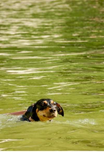 Fotochallenge Nr. 94 It's summer time-Beitrag-Bild