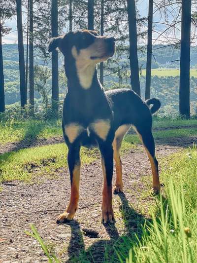 Fotowettbewerb Natur-Beitrag-Bild