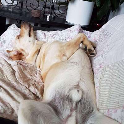 Die unbequemsten und lustigsten Schlafpositionen-Beitrag-Bild