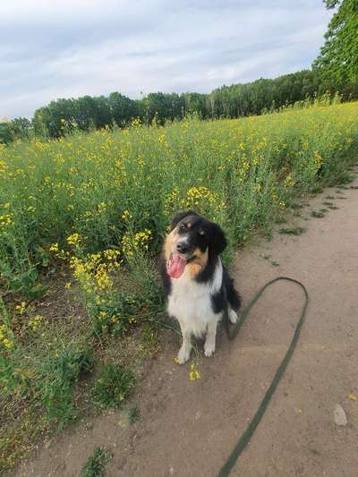 Fotowettbewerb Natur-Beitrag-Bild