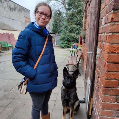 Hundetreffen-Spiel- und Trainingspartner gesucht