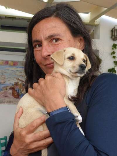 Wie kamst du zu deinem Hund?-Beitrag-Bild