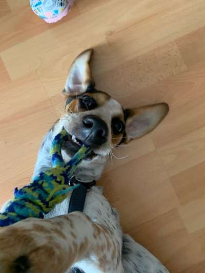 Nahaufnahme-Beitrag-Bild