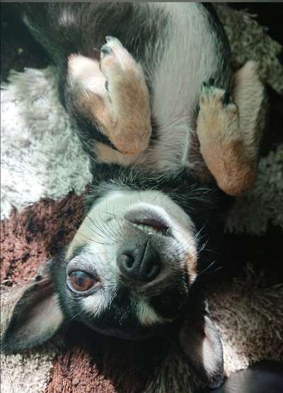 Foto Challenge - Zeigt her eure Bäuche-Beitrag-Bild