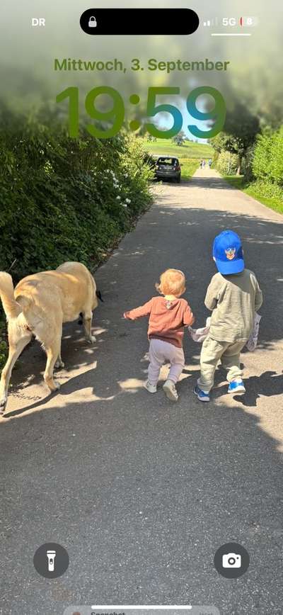 aktuelles Foto Gruppe Kangal