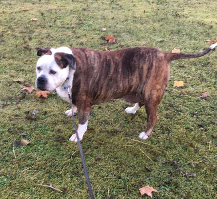 Fotochallenge Nr. 56 - geliebte Senioren-Beitrag-Bild