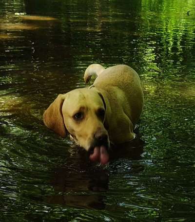 Tongue Out Tuesday-Beitrag-Bild