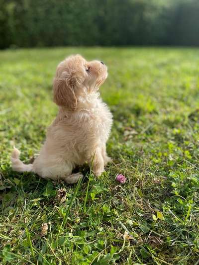 Erstes Bild-Beitrag-Bild