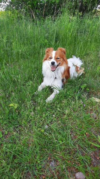 14. Farbenfoto-Challenge "Weiss"-Beitrag-Bild